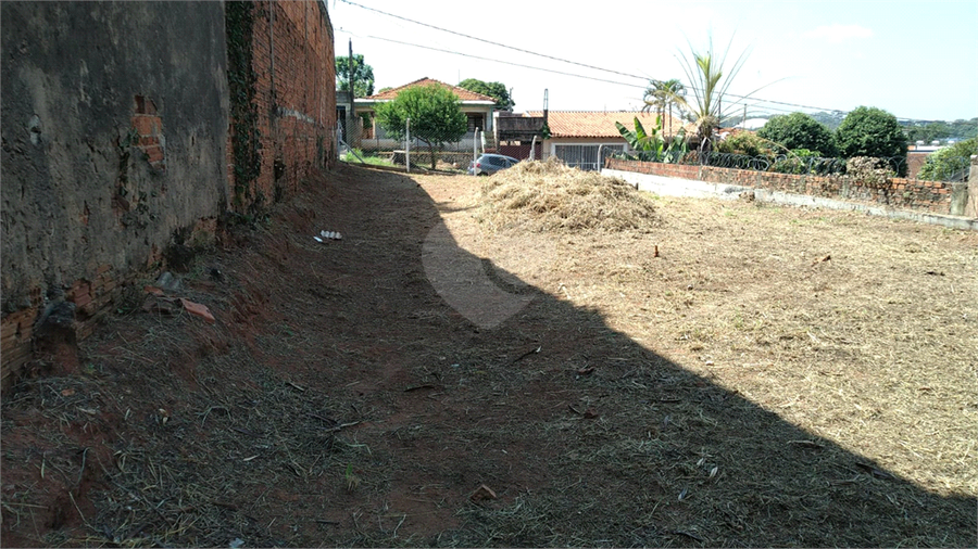 Foto REO1079894