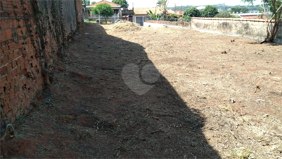 Foto REO1079894