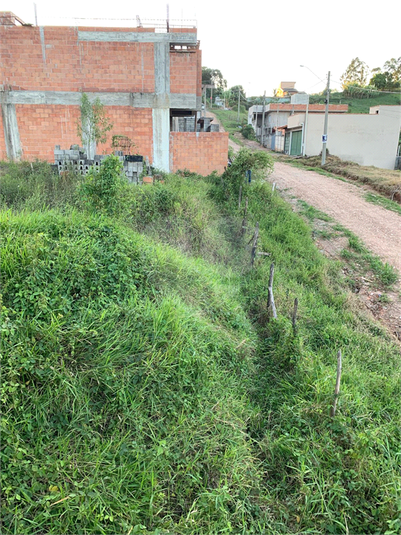 Foto REO1079901