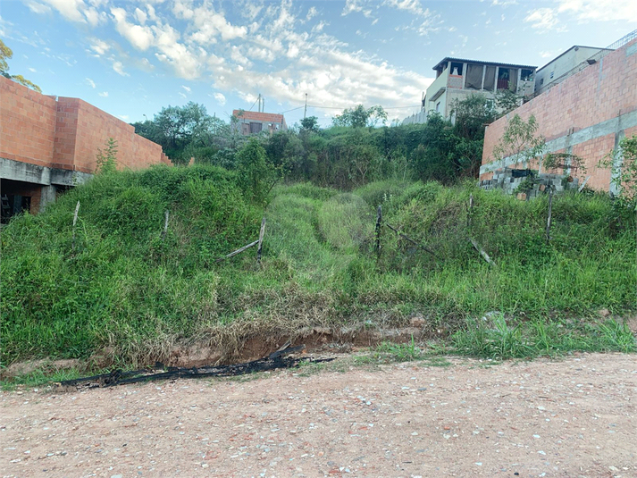 Foto REO1079901