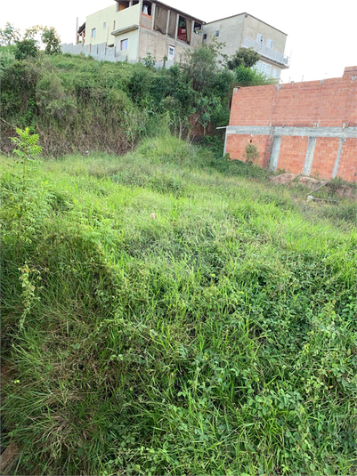 Foto REO1079901