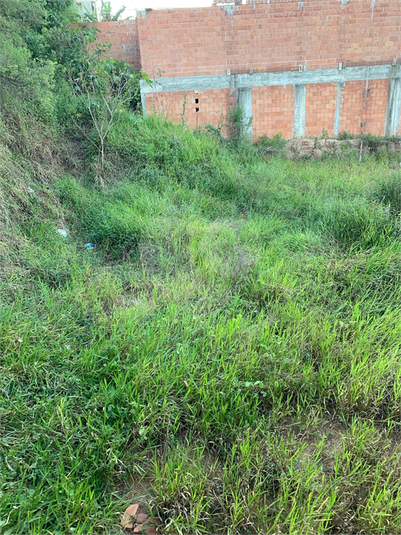 Foto REO1079901