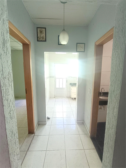 Foto REO1079907