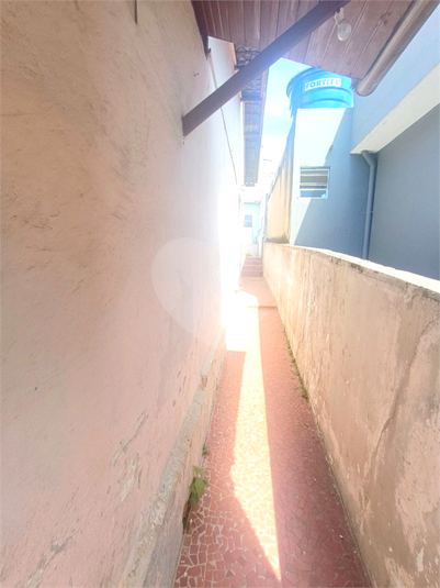 Foto REO1079907