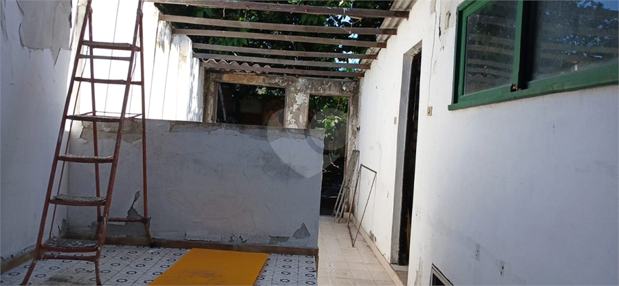 Foto REO1079915