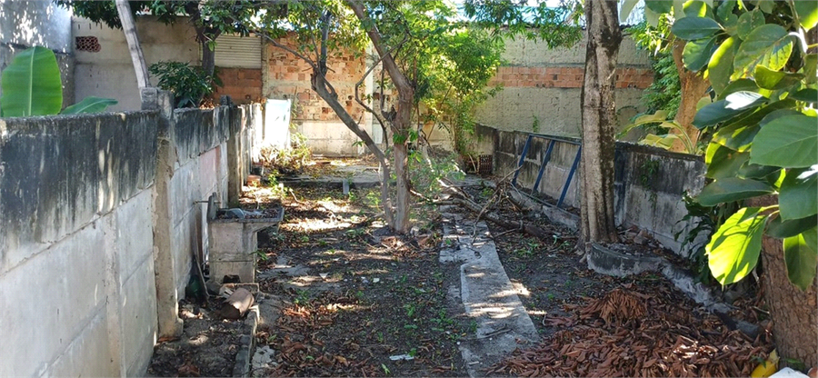 Foto REO1079915
