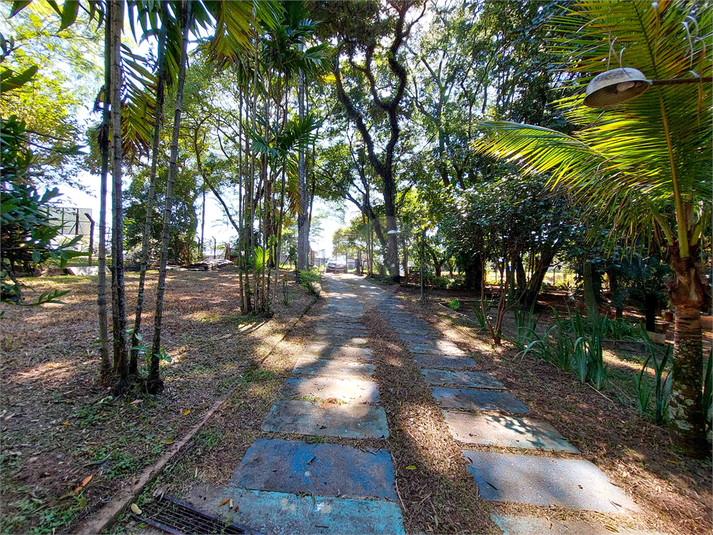 Foto REO1079917