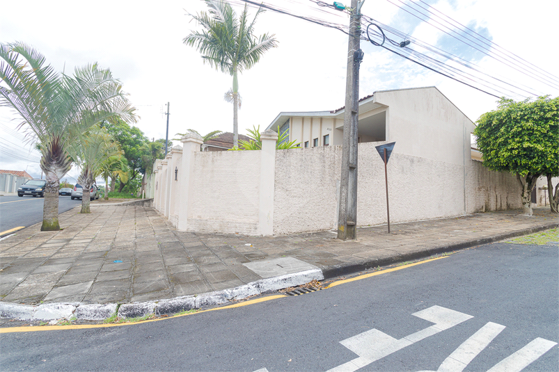 Foto REO1079927