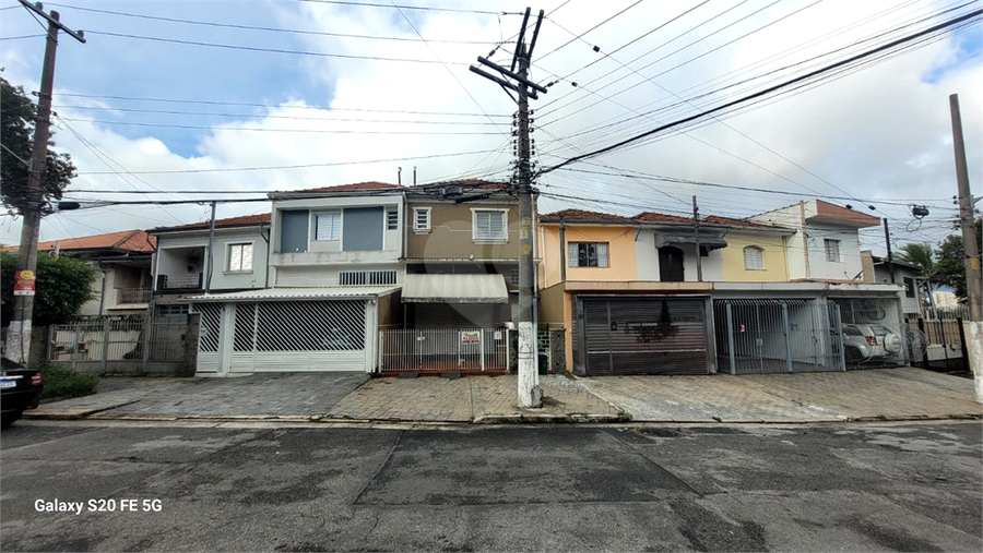 Foto REO1079928