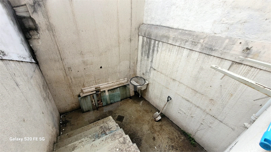 Foto REO1079928
