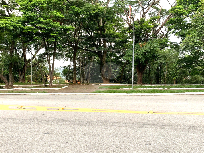 Foto REO1079931