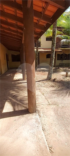 Foto REO1079933