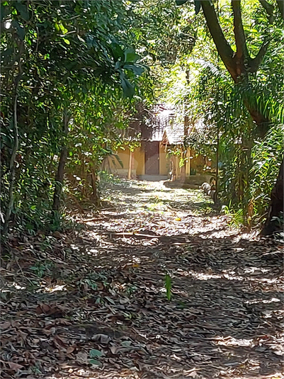 Foto REO1079933