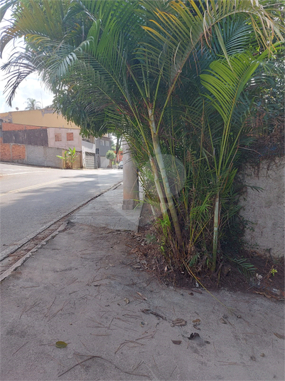 Foto REO1079933