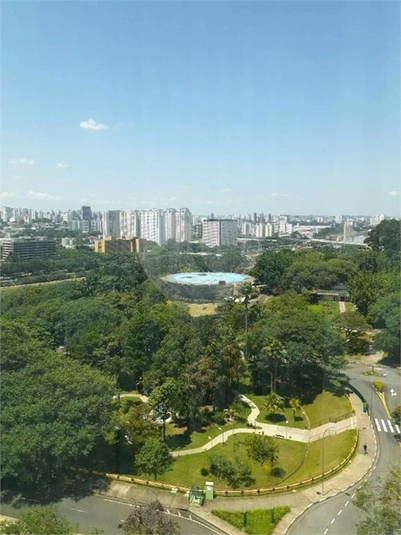 Foto REO1079955