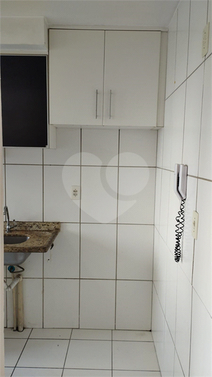 Foto REO1079957