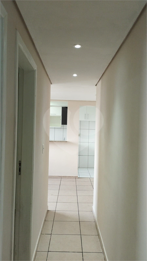 Foto REO1079957