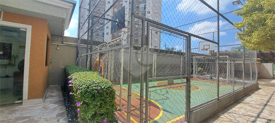 Foto REO1079957