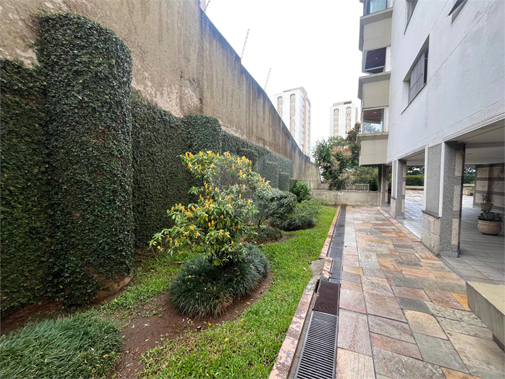 Foto REO1079959