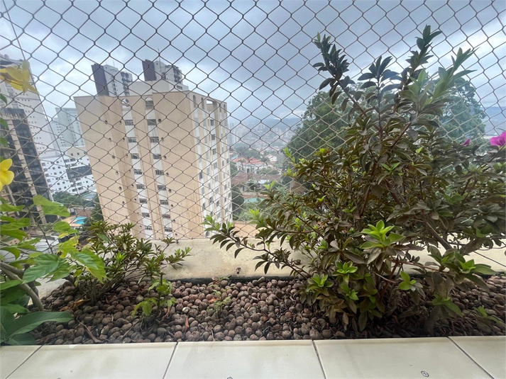 Foto REO1079959