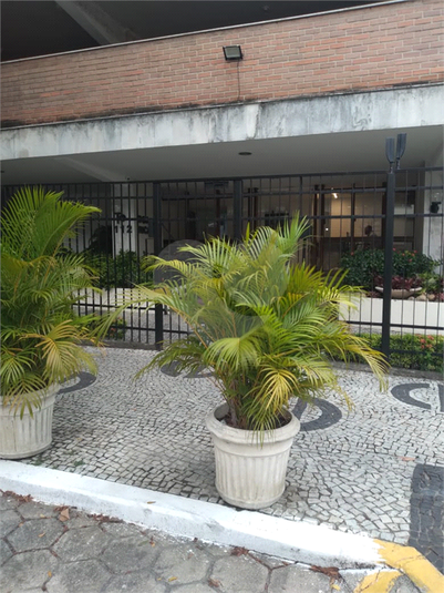 Foto REO1079961