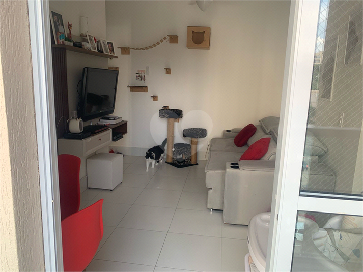 Foto REO1079974