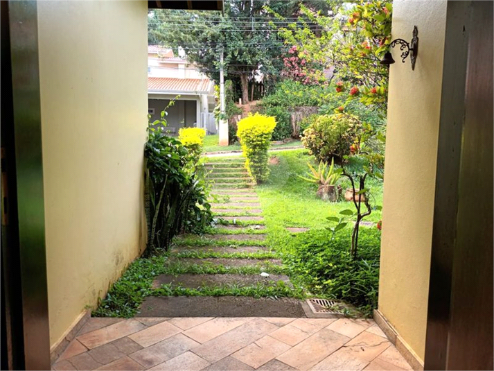 Foto REO1079981