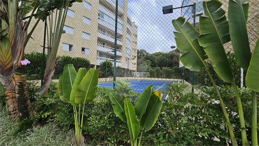 Foto REO1079993
