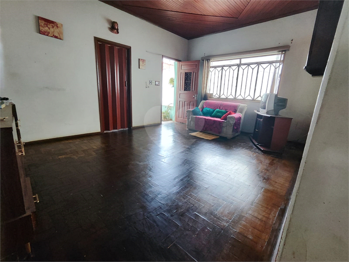 Foto REO1079998