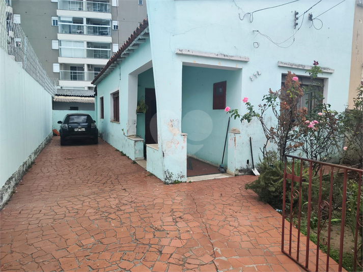 Foto REO1079998