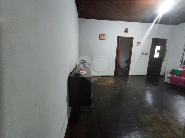 Foto REO1079998