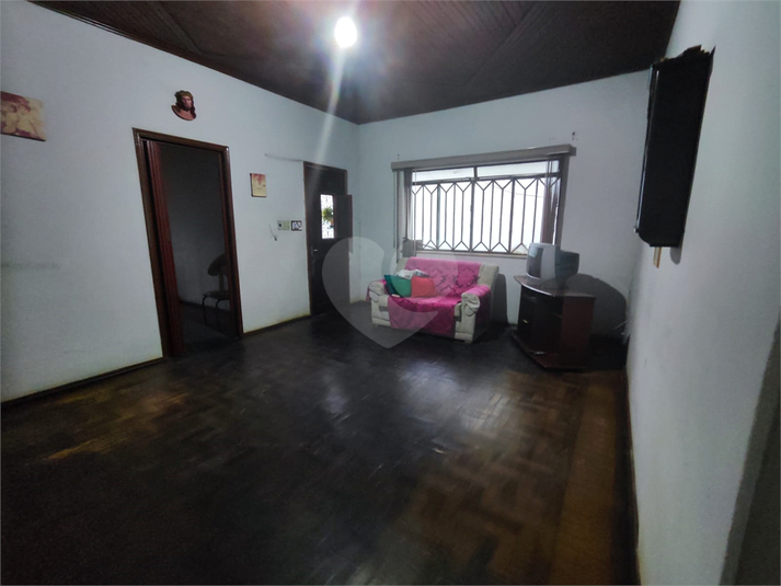 Foto REO1079998