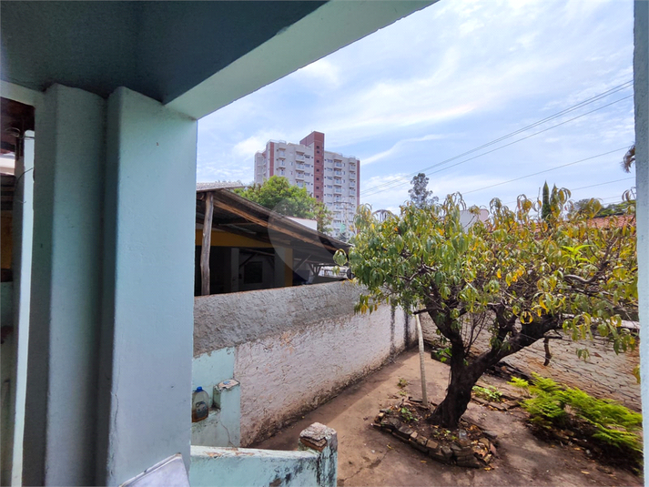 Foto REO1079998