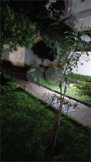 Foto REO1080018