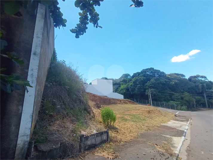Foto REO1080049