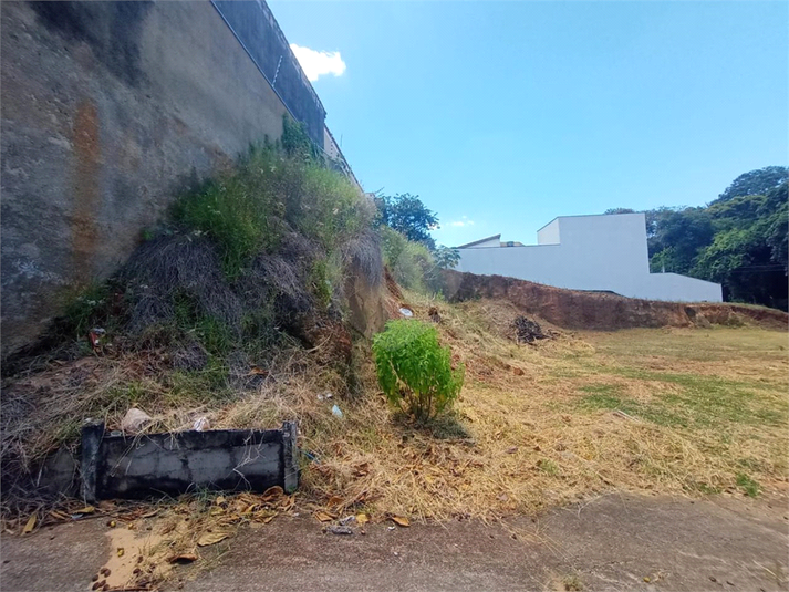 Foto REO1080049
