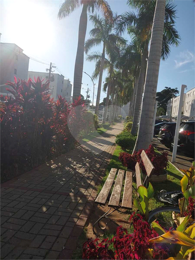 Foto REO1080061