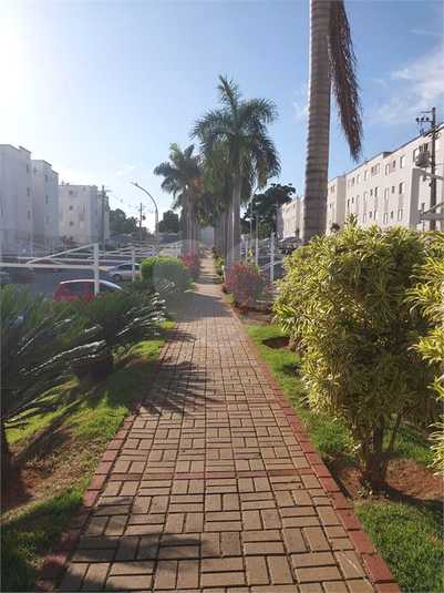Foto REO1080061