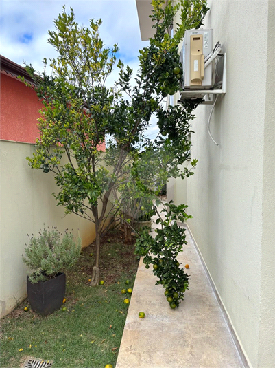 Foto REO1080076