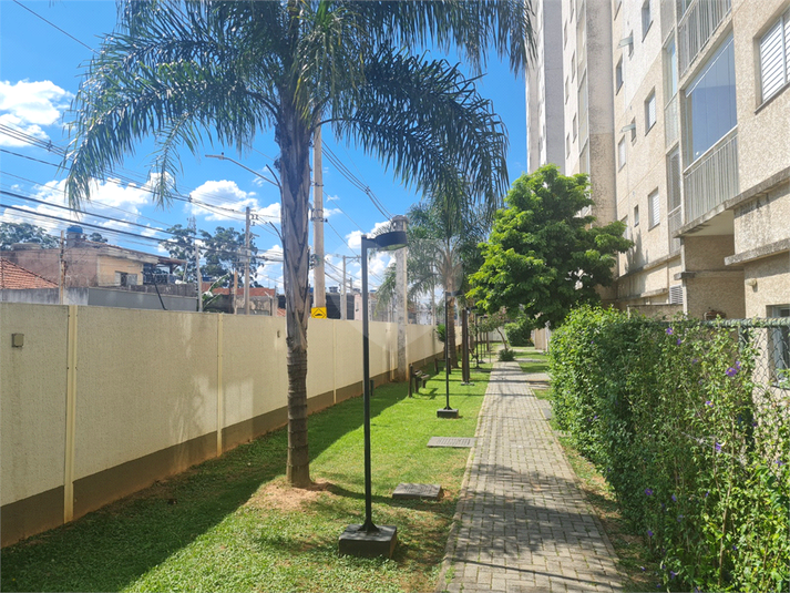 Foto REO1080078