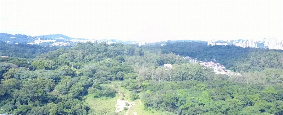 Foto REO1080096