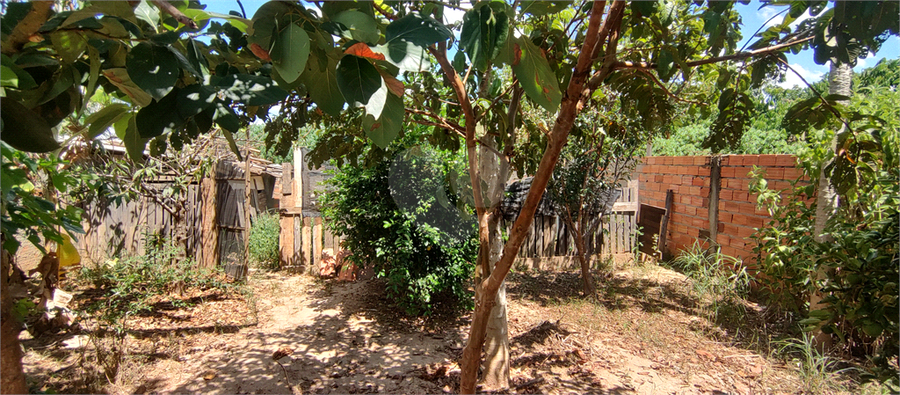 Foto REO1080162