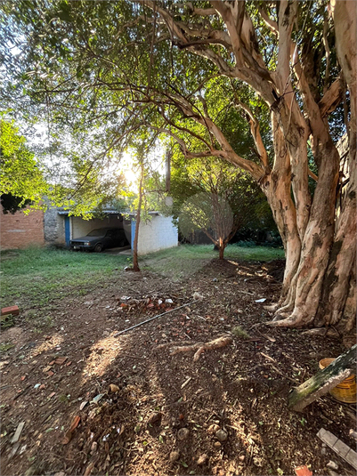 Foto REO1080173