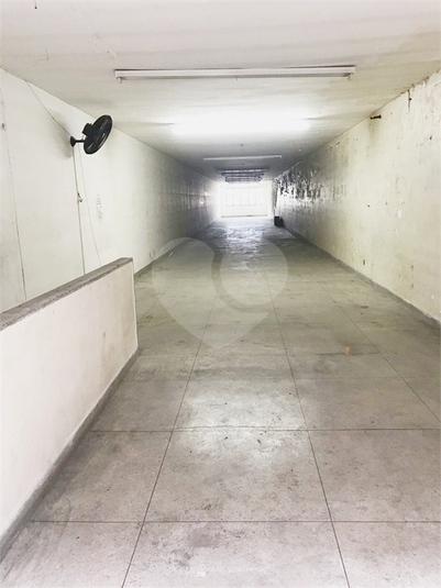 Foto REO1080237