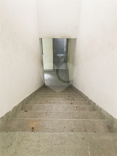 Foto REO1080237