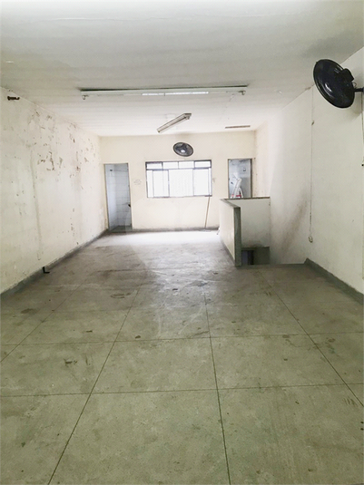 Foto REO1080237