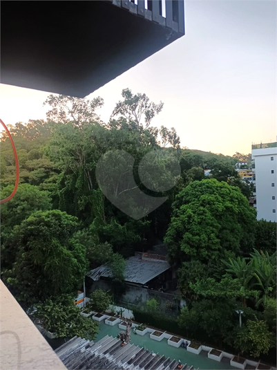 Foto REO1080246