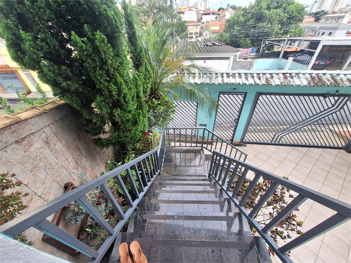 Foto REO1080305
