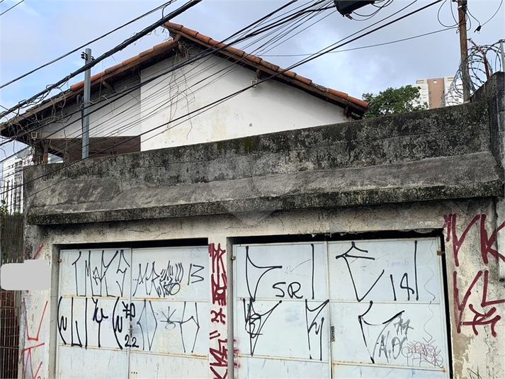 Foto REO1080332