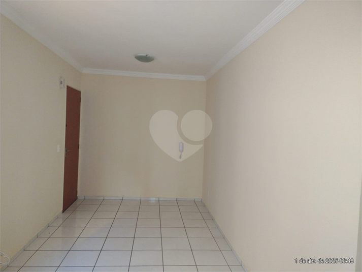 Foto REO1080336